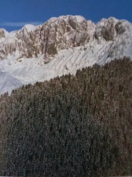 Hotel Max Meublè Castione della Presolana 3*,
